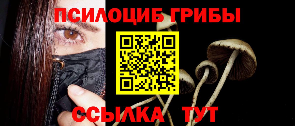 Псилоцибиновые грибы MAGIC MUSHROOMS Нижний Тагил